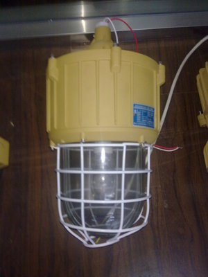 樂清廠家生產防爆燈BAD82 專業防爆照明解決方案